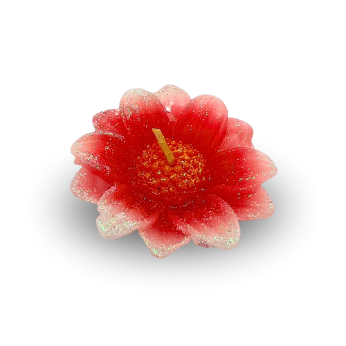 Set of 4 Beautiful Flower Shape Peach Candles