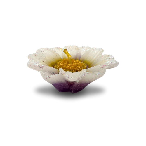 Set of 4 Beautiful Flower Shape White Candles