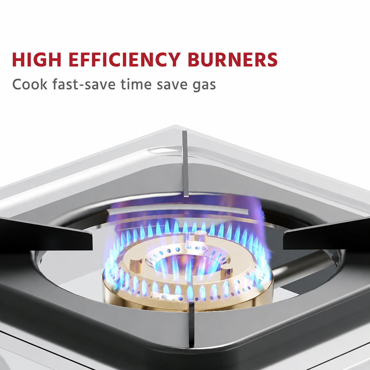 Single Burner LPG Gas Stove Stainless Steel Brass Burner Table Top Heavy Duty